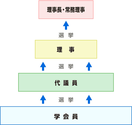 組織